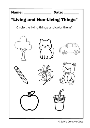 Living and Non-Living Identification