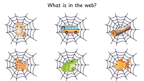 What is in the web? - CVC writing