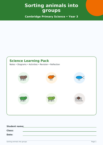 YR 3 SCIENCE ANIMAL GROUPS