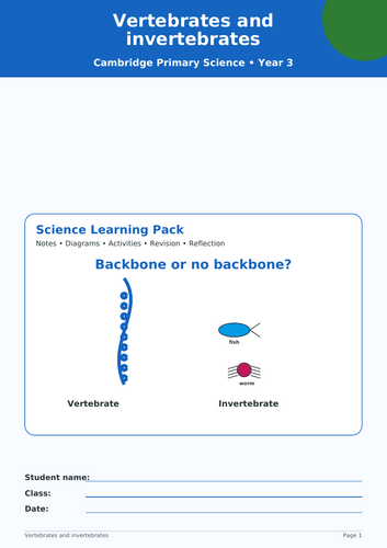 VERTERBRATE S AND INVERTEBRATES YR 3 SCIENCE