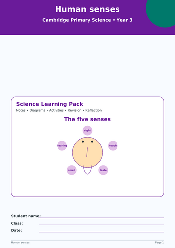 HUMAN SENSES YR 3 SCIENCE