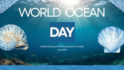 World Ocean Day Assembly PowerPoint | KS1 KS2 | Ocean Conservation & Plastic Pollution