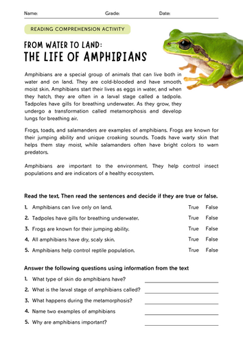 Ambhibians - Frogs Comprehension KS1