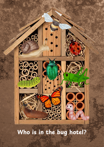Bug hotel picture and writing