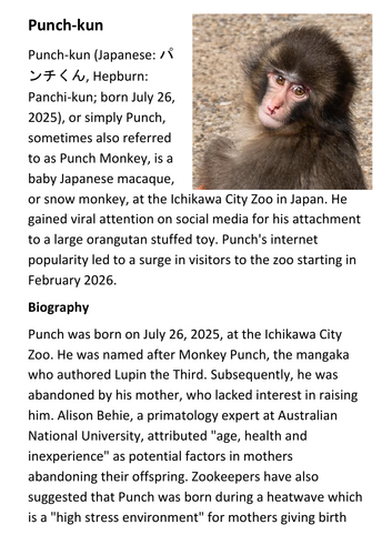 Punch The Monkey Handout