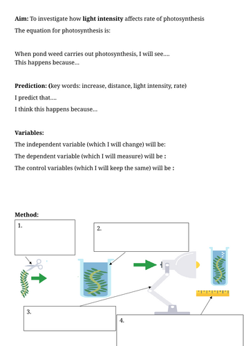 Rate of photosynthesis differentiated write up
