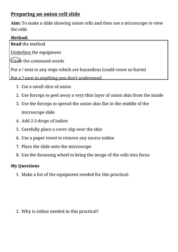 Preparing an onion cell slide practical sheet