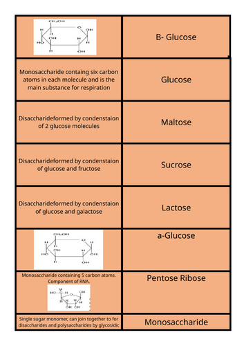 A-Level Biology Edexcel Topic 1 card sorts