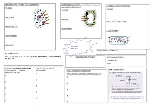 AQA Biology Combined Science B1 REVISION BLANK KNOWLEDGE ORGANISERS ...