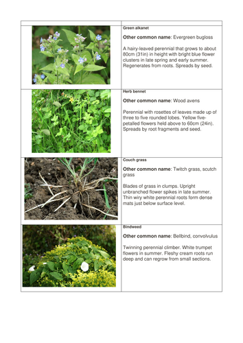 NOCN Horticuture Level 1 Weed Control