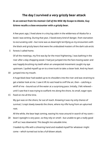 Grizzly bears & structuring writing (KS2/KS3)