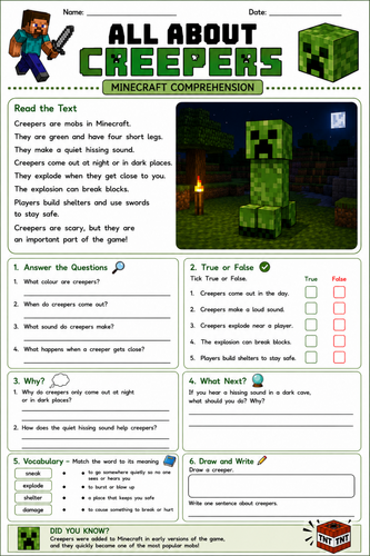 Mine craft comprehension