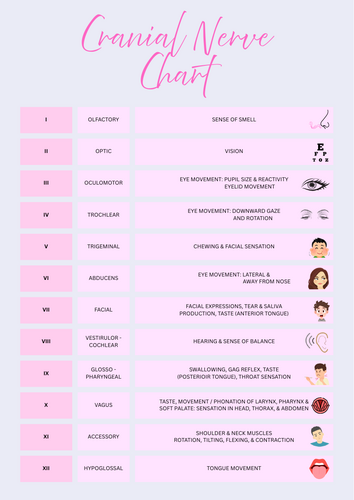 Cranial Nerve Chart — SLT Reference