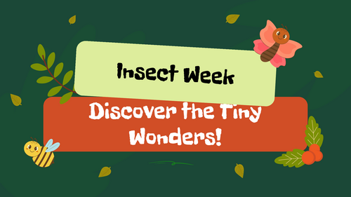 Insect Week Assembly PowerPoint | Minibeasts & Science | KS1 KS2 Primary Assembly