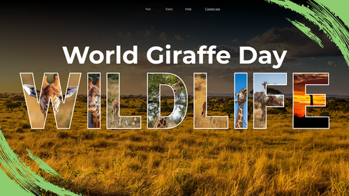 World Giraffe Day Assembly PowerPoint | Animals & Wildlife Conservation | KS1 KS2