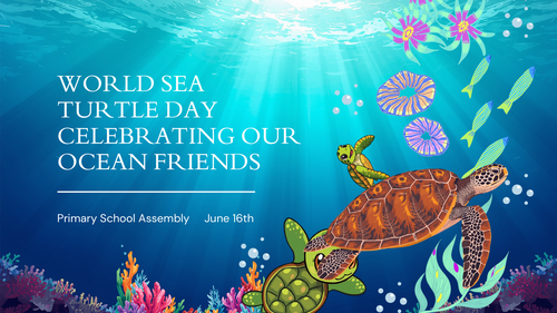 World Sea Turtle Day Assembly PowerPoint | Ocean Animals & Conservation | KS1 KS2