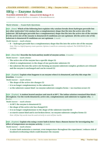 SB1g Enzyme Action | Edexcel GCSE Biology Topic Mastery Pack