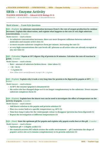 SB1h Enzyme Activity | Edexcel GCSE Biology Topic Mastery Pack