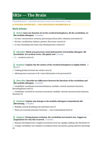 SB2e The Brain | Edexcel GCSE Biology Topic Mastery Pack