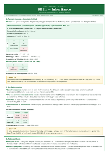 SB3h Inheritance | Edexcel GCSE Biology Topic Mastery Pack