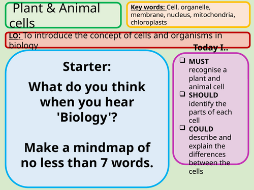KS3 Plant and animal cells