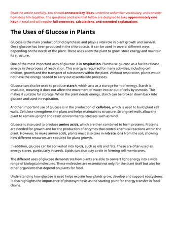 GCSE Biology Bioenergetics Reading Comprehension Revision