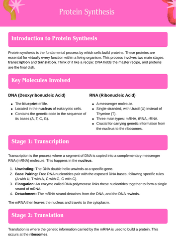 Protein Synthesis Simplified Handout