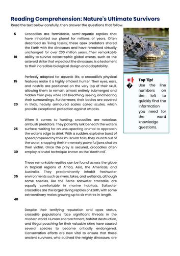 Comprehension on Crododiles