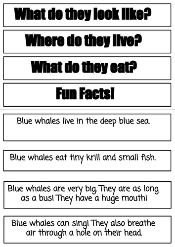 Year 2 Non-chronological report Subheading matching