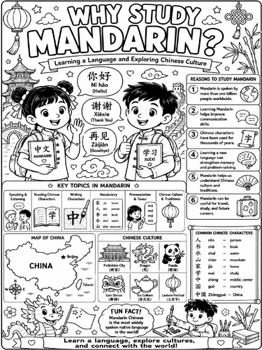 Why Study Mandarin Poster