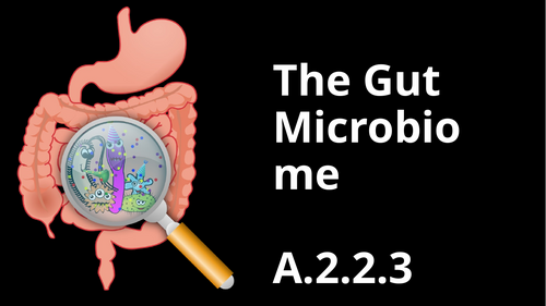 IB HL SEHS Gut Microbiome A.2.2.3
