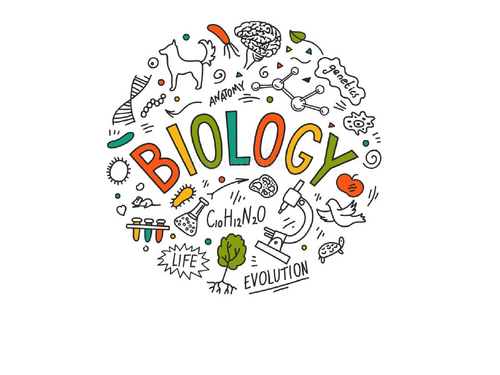 IGCSE CIE Biology Classification SoW.updated 2026