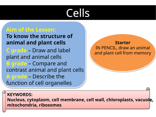 IGCSE CIE Biology CELLS SoW.updated 2026