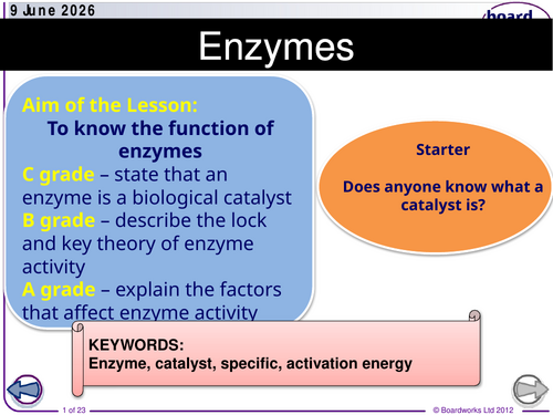 IGCSE CIE Biology Enzymes SoW.updated 2026