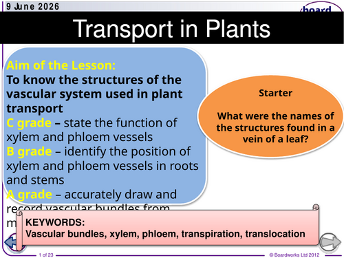 IGCSE CIE Biology Plant Transport SoW.updated 2026