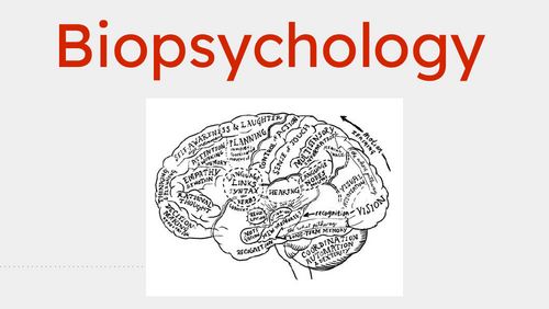Biopsychology slides and booklet