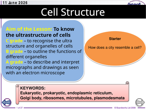 AS CIE Biology Cells SoW.updated 2026