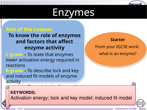 AS CIE Biology Enzymes SoW.updated 2026