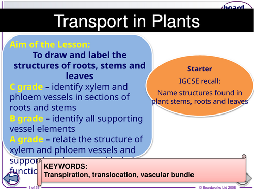 AS CIE Biology Transport in Plants SoW.updated 2026