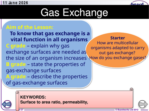AS CIE Biology Gas Exchange SoW.updated 2026