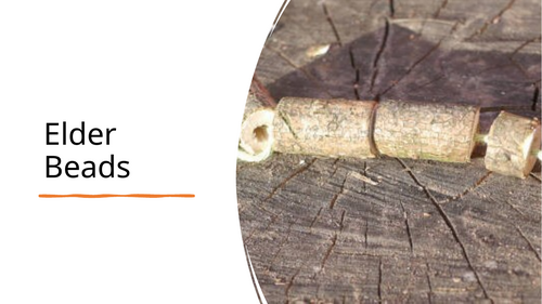 Forest School Activities