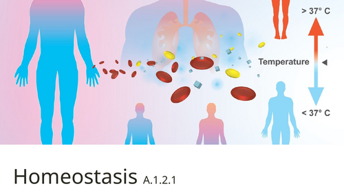 IB SEHS SL A.1.2 Homeostasis