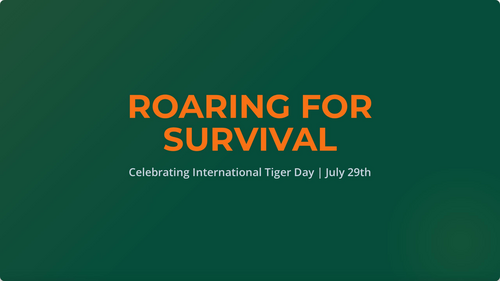 International Tiger Day Assembly | Tiger Conservation, Endangered Animals & Environmental Awareness