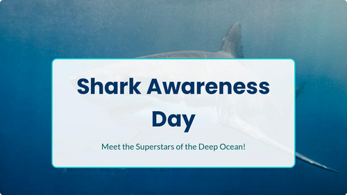 Shark Awareness Day Assembly | KS1 & KS2 | Ocean Conservation, Shark Facts & Marine Life