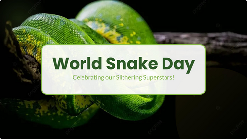 World Snake Day Assembly | Fascinating Snake Facts | KS1 & KS2 Animals & Conservation Assembly