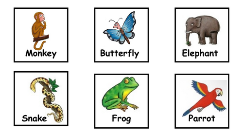 Monkey Puzzle vocabulary cards