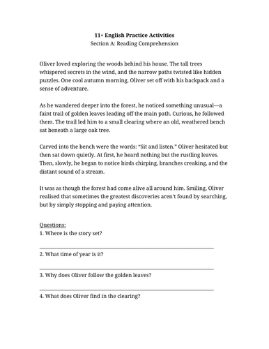 11 Plus English Activity