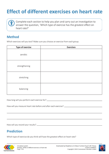 yr 6 science