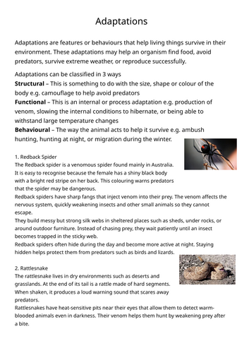 AQA B7 - Adaptation Comprehension worksheet covering structural, functional and behaviour adaptation