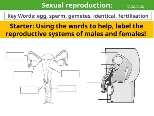Sexual reproduction - KS3 | Teaching Resources